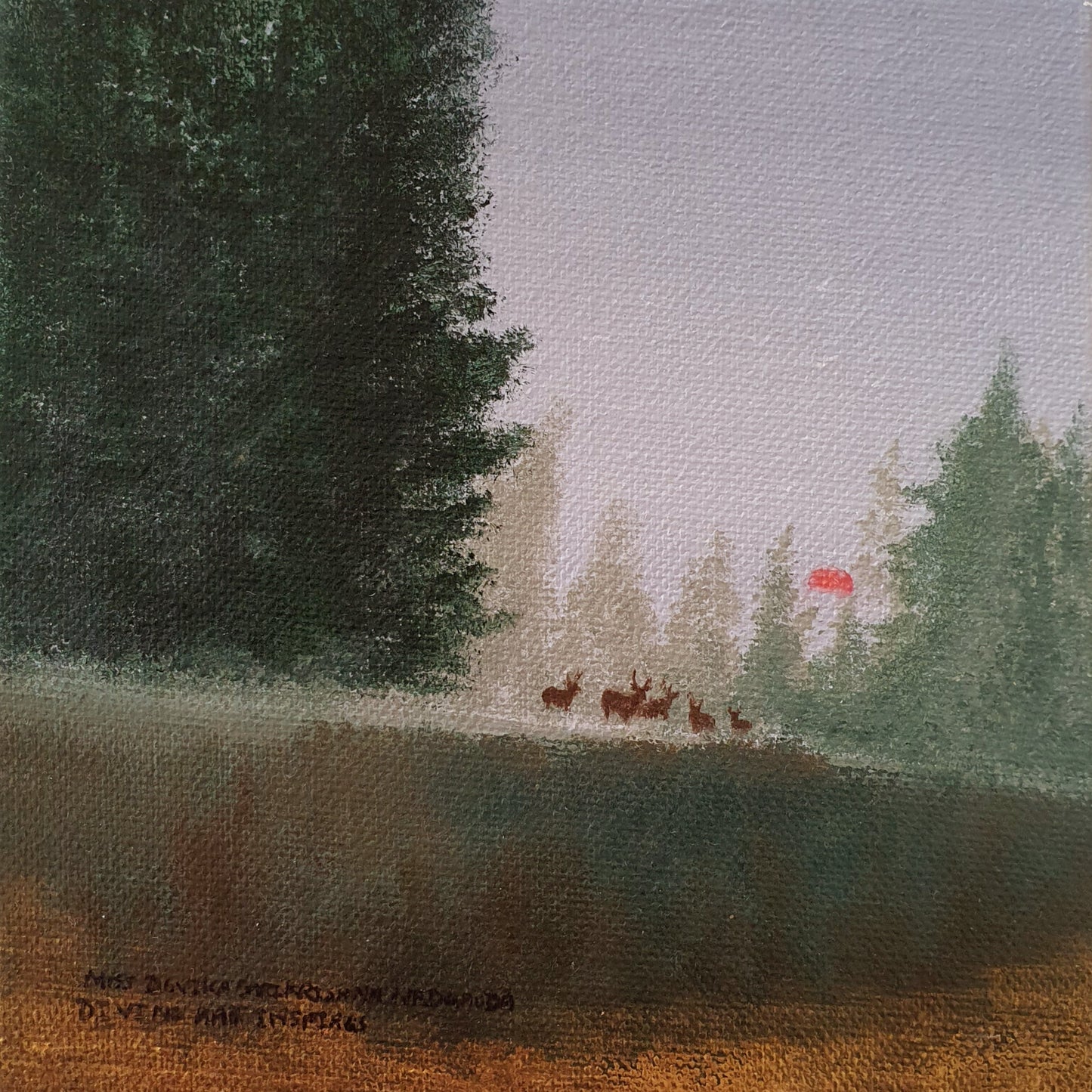 Morning Forest