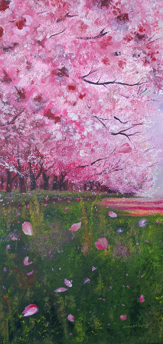 Cherry Blossom Trees